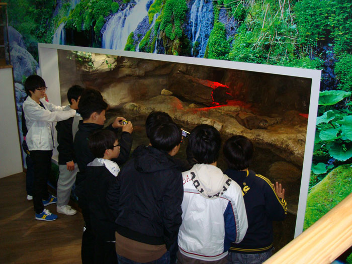 DSC05344.jpg